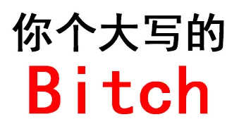 你个大写的Bitch（文字表情）表情包