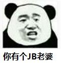 你有个JB老婆表情包