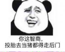 你这智商，投胎去当猪都得走后门表情包