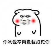 你爸说不同意就打死你表情包