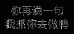 你再说一句我抓你去做鸭表情包