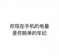 你现在手机的电量是你脱单的年纪表情包