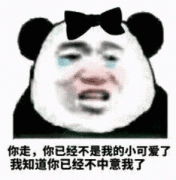 你走，你已经不是我的小可爱了，我知道你已经不中意我了表情包