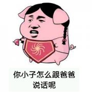 你小子怎么跟爸爸说话呢表情包