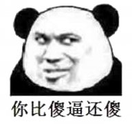 你比傻逼还傻！（熊猫人教皇）表情包