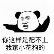 你这样是配不上我家小花狗的（熊猫人）表情包