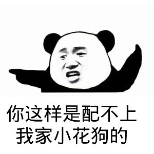 你这样是配不上我家小花狗的（熊猫人）表情包