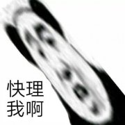 快理我啊（熊猫头表情包）表情包