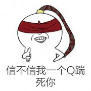 信不信我一个Q踹死你表情包
