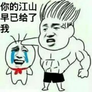 你的江山早已给了我！表情包