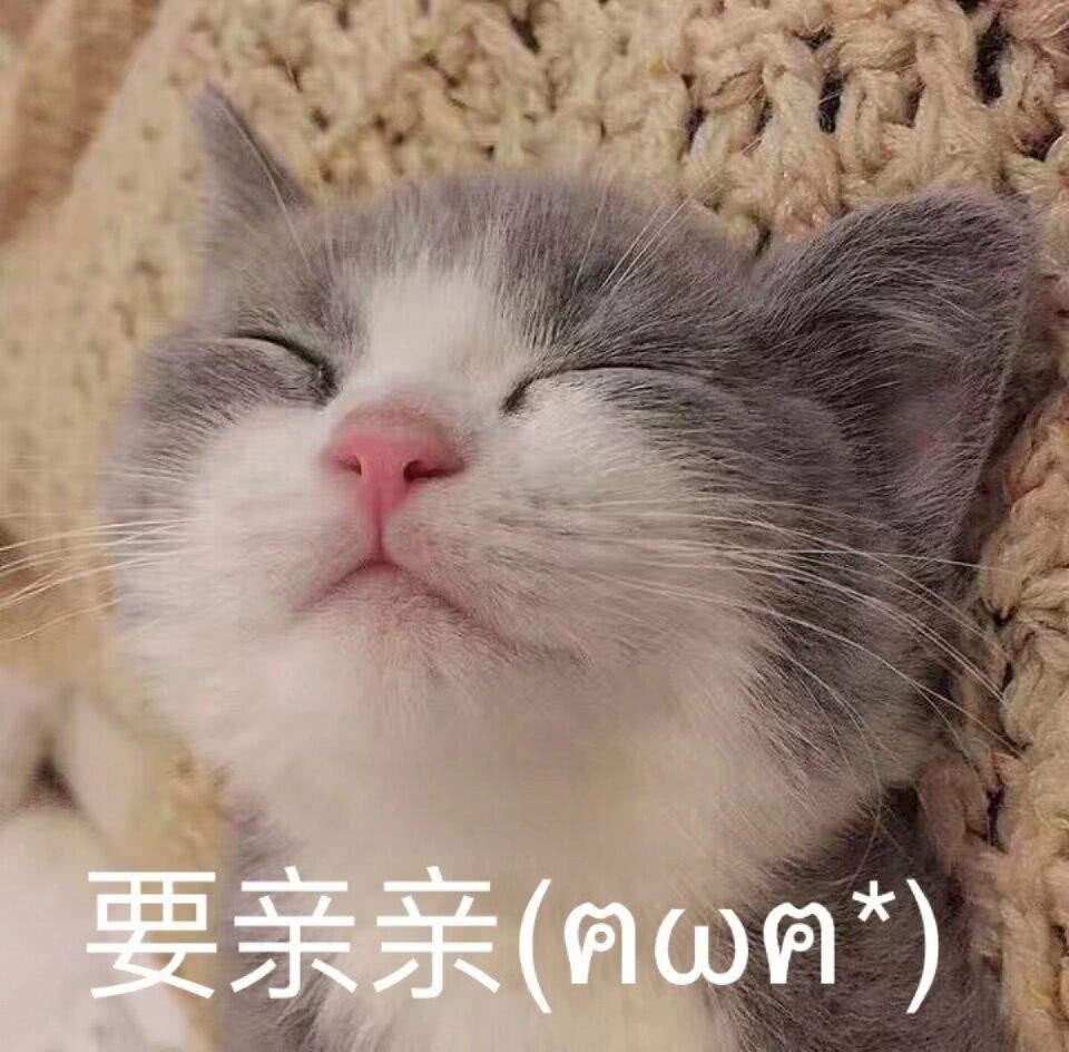 （猫咪表情包）要亲亲表情包