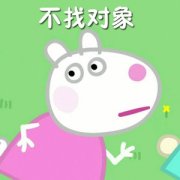 不找对象表情包