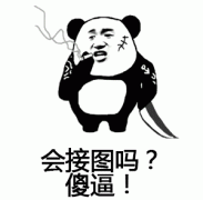 会接图吗？傻逼！（熊猫人）表情包