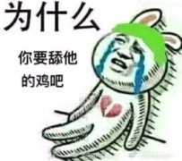 为什么你要舔他的鸡吧表情包