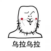 乌拉乌拉表情包 乌拉乌拉表情包