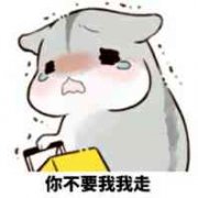 你不要我，我走！（仓鼠表情）表情包