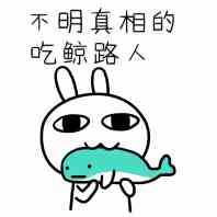 不明真相的吃鲸路人！表情包