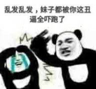 乱发乱发，妹子都被你这丑逼全吓跑了！（熊猫人打人）表情包