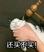 （威胁女朋友表情包）还买不买表情包