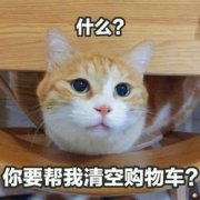 什么表情包