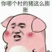 你哪个村的猪这么膨胀表情包