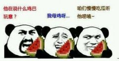 他在说什么cq鸡巴玩意？我母鸡啊表情包