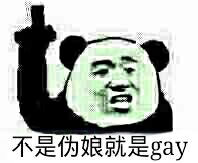 楼上不是伪娘就是gay表情包