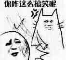 你咋这么搞笑呢？表情包