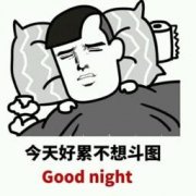 今天好累不想斗图 Good night表情包