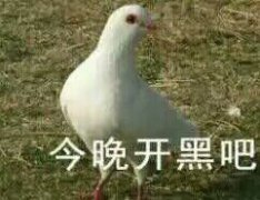 今晚开黑吧表情包