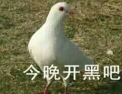 今晚开黑吧表情包