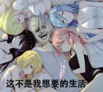 （美女成群表情包）这不就是我想要的生活表情包
