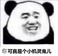 你可真是个小机灵鬼儿表情包