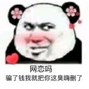 网恋吗？骗了钱我就把你这臭嗨删了表情包