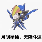 月明星稀，天降斗逼！（法鸡）表情包
