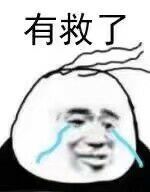 有救了表情包