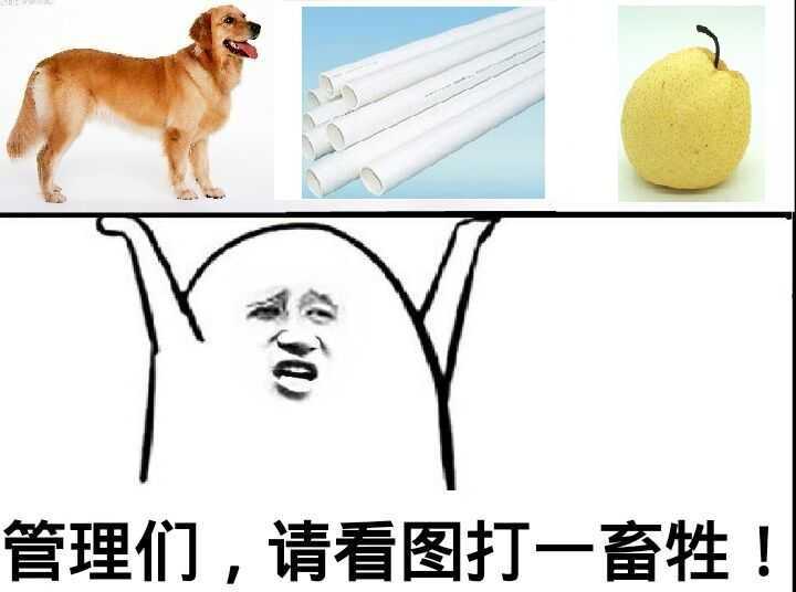 （畜生表情包）管理员们 请看图打一畜牲表情包