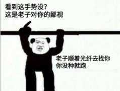 （比中指表情包）看到这手势没 这是老子对你的藐视表情包