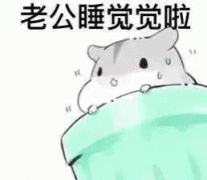 （可爱表情包）老公睡觉觉啦表情包