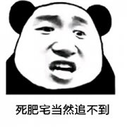 死肥宅 你当然追不到了表情包