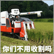 你们不用收割吗表情包