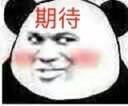期待表情包