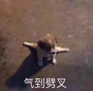 气到劈叉表情包