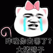 昨晚你去哪了？大猪蹄子表情包