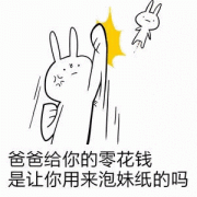 爸爸给你的零花钱，是让你用来泡妹纸的吗表情包