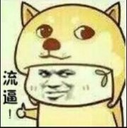 你是真的流逼啊表情包