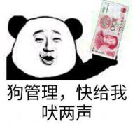 狗管理,快给我吠两声表情包