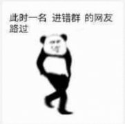 此时一名进错群的网友路过表情包
