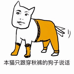 本猫只跟穿秋裤的狗子说话表情包
