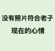 现在没有任何照片符合老子现在的心情表情包